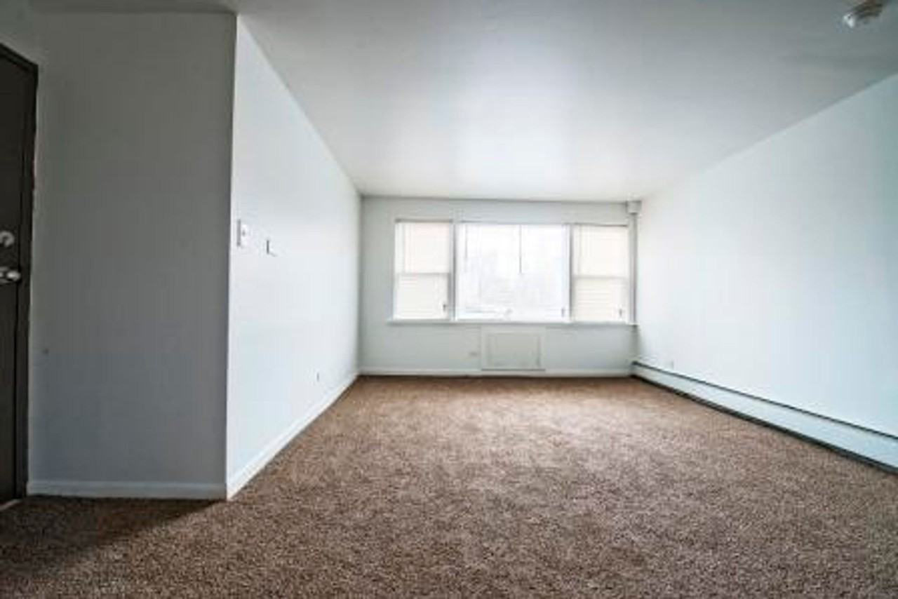 14031 S School St Riverdale, IL 60827 - Photo 3 of 20