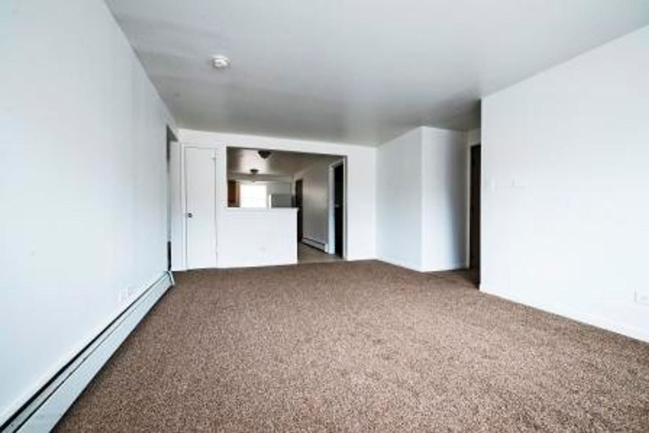 14031 S School St Riverdale, IL 60827 - Photo 4 of 20