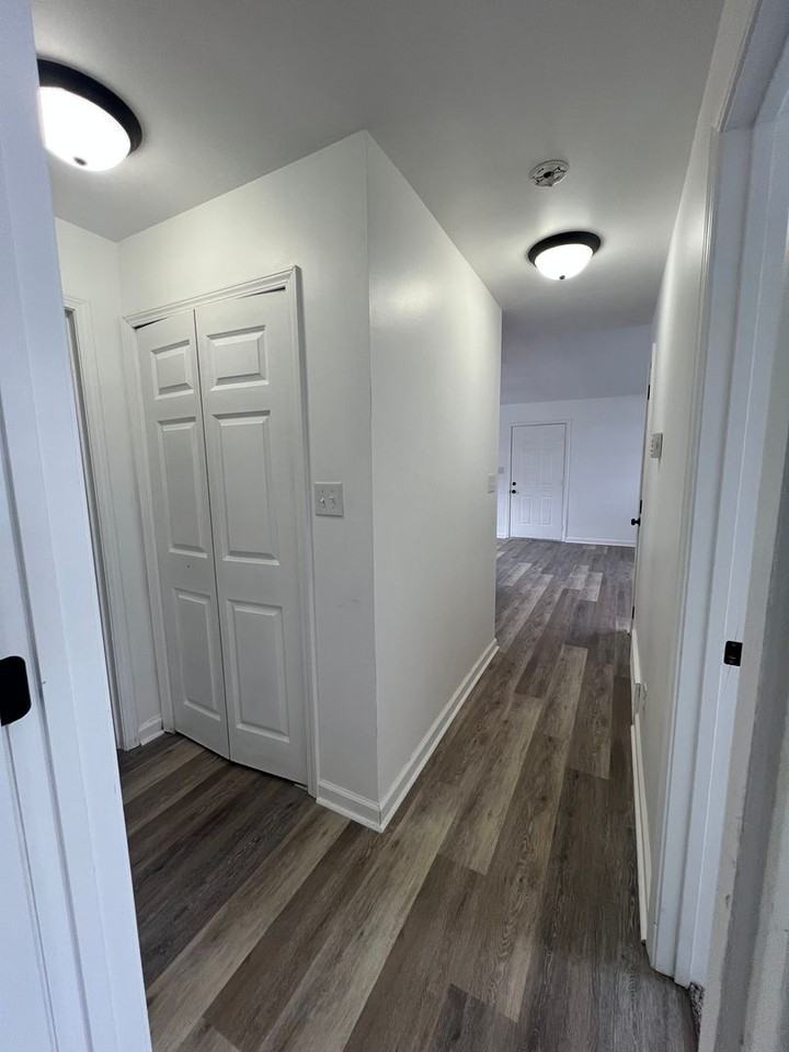 805 Diane Ct - Photo 6 of 19