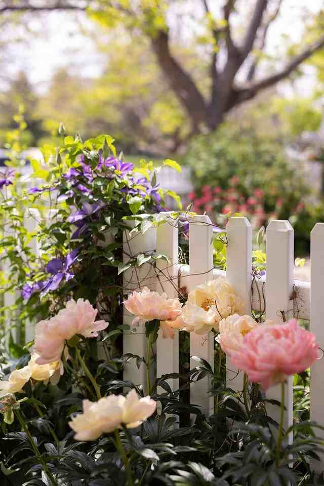 2480 Concord Cir - Photo 6 of 40