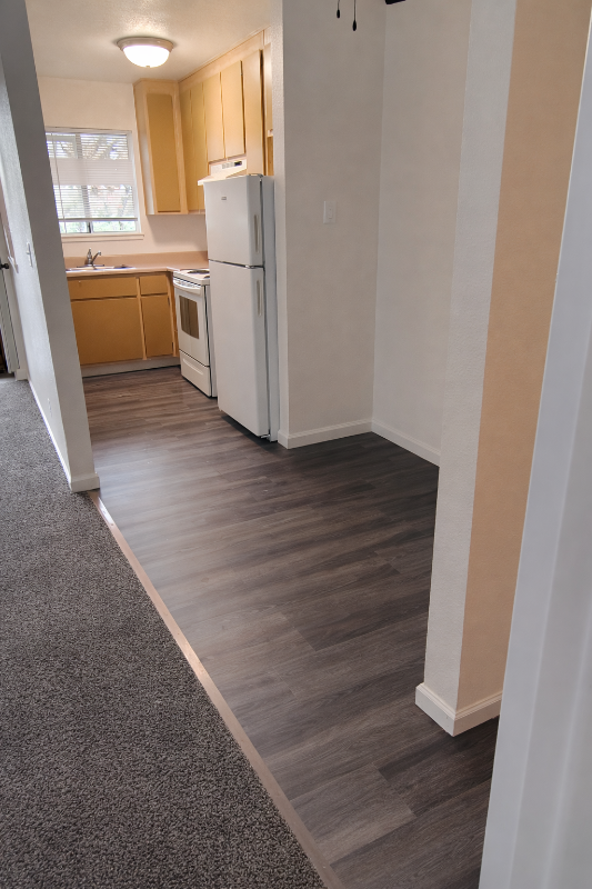 6667 Blue Heron Dr #B - Photo 5 of 13