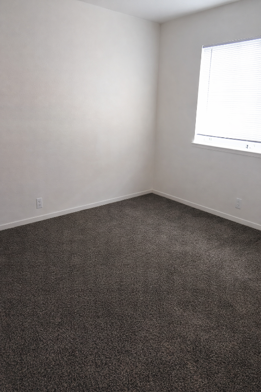 6667 Blue Heron Dr #B - Photo 6 of 13