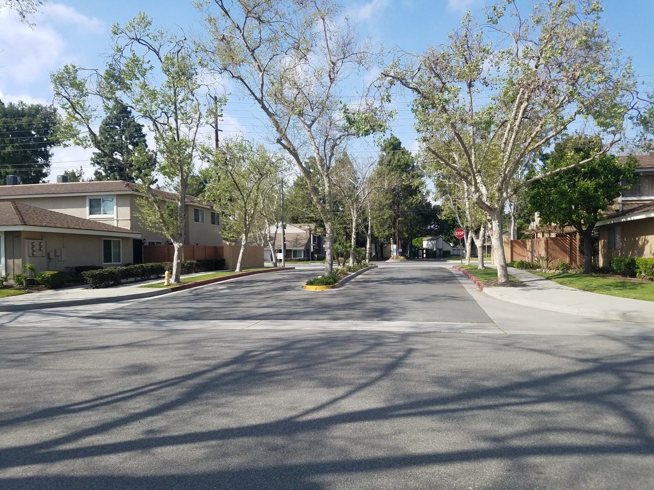 16734 Cedarwood Cir #NONE - Photo 6 of 15