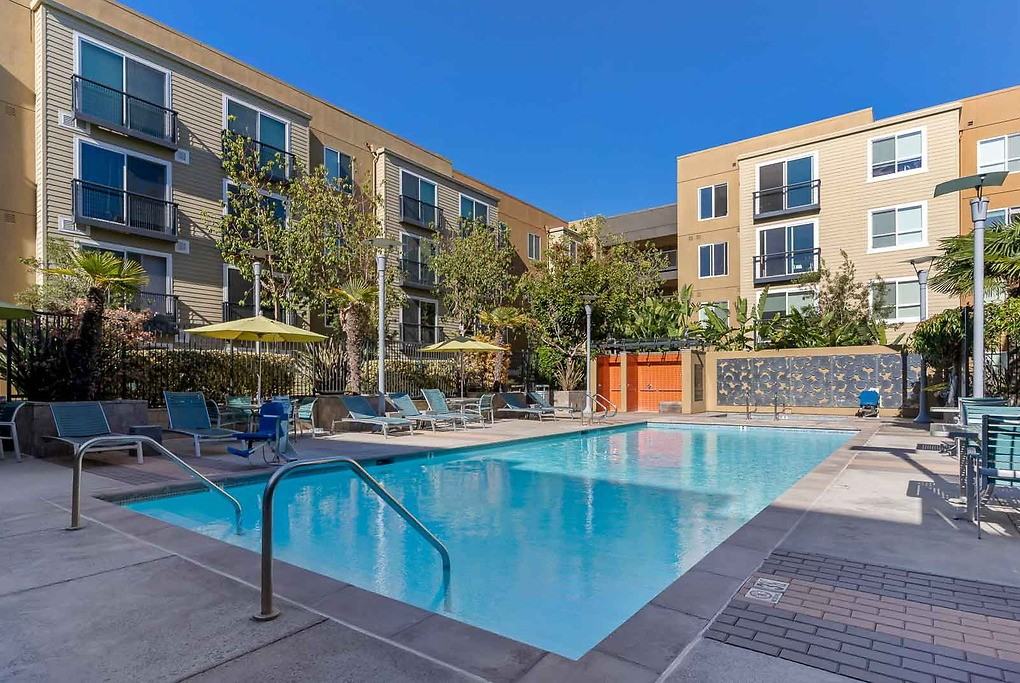 Solstice - Photo 2 of 51