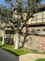 featured image of 852 N Monterey St