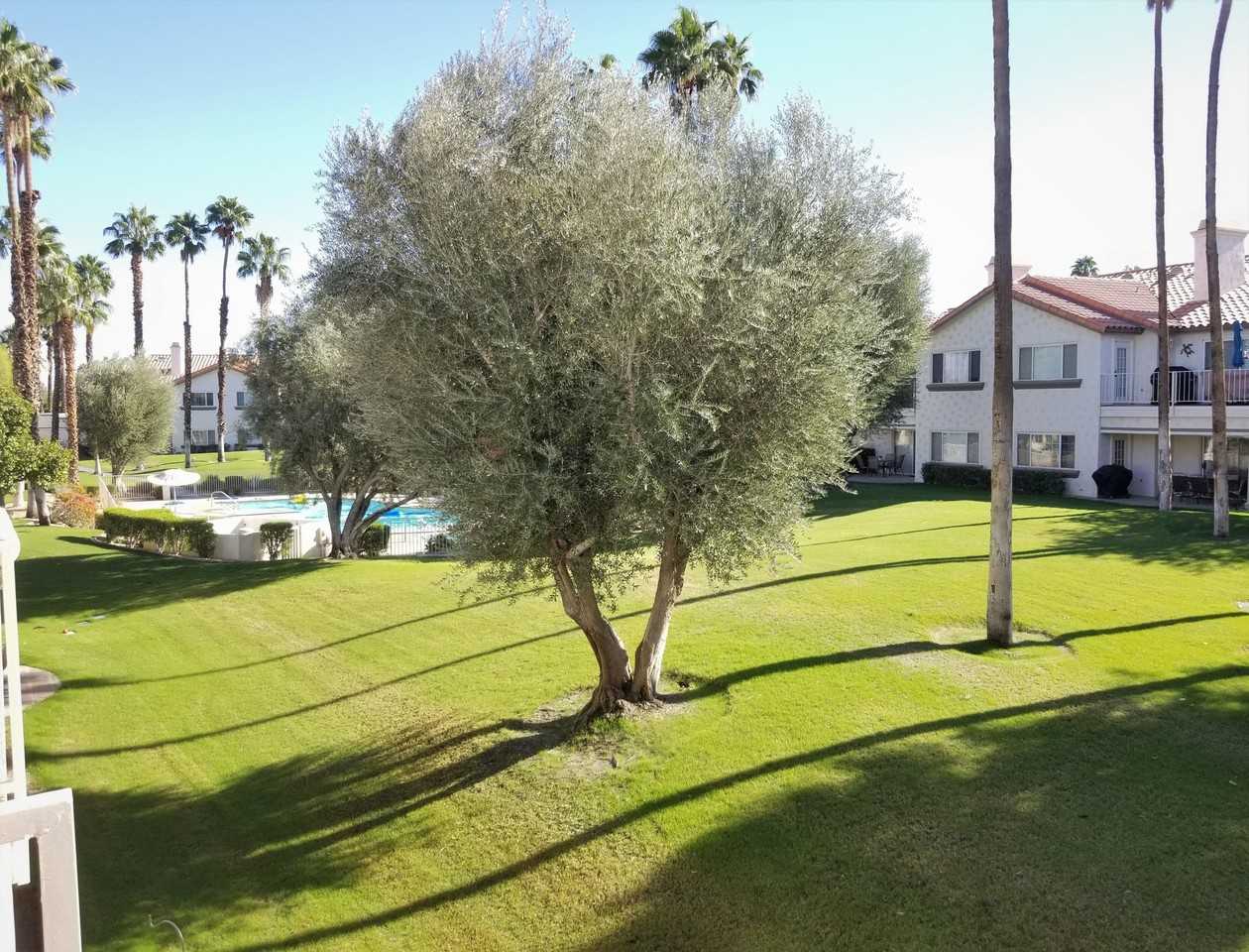 319 Vista Royale Dr - Photo 4 of 19