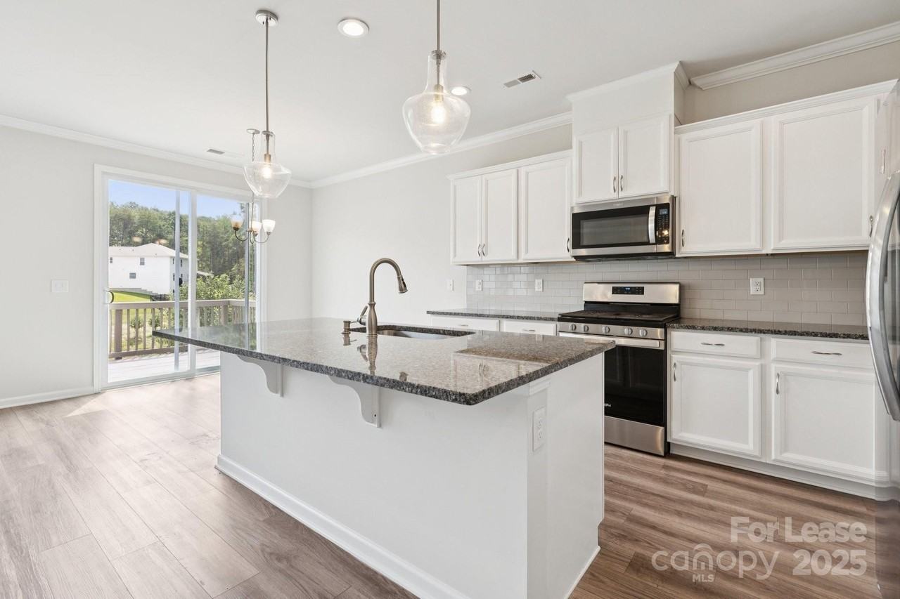 17121 Carolina Pine Row - Photo 4 of 27