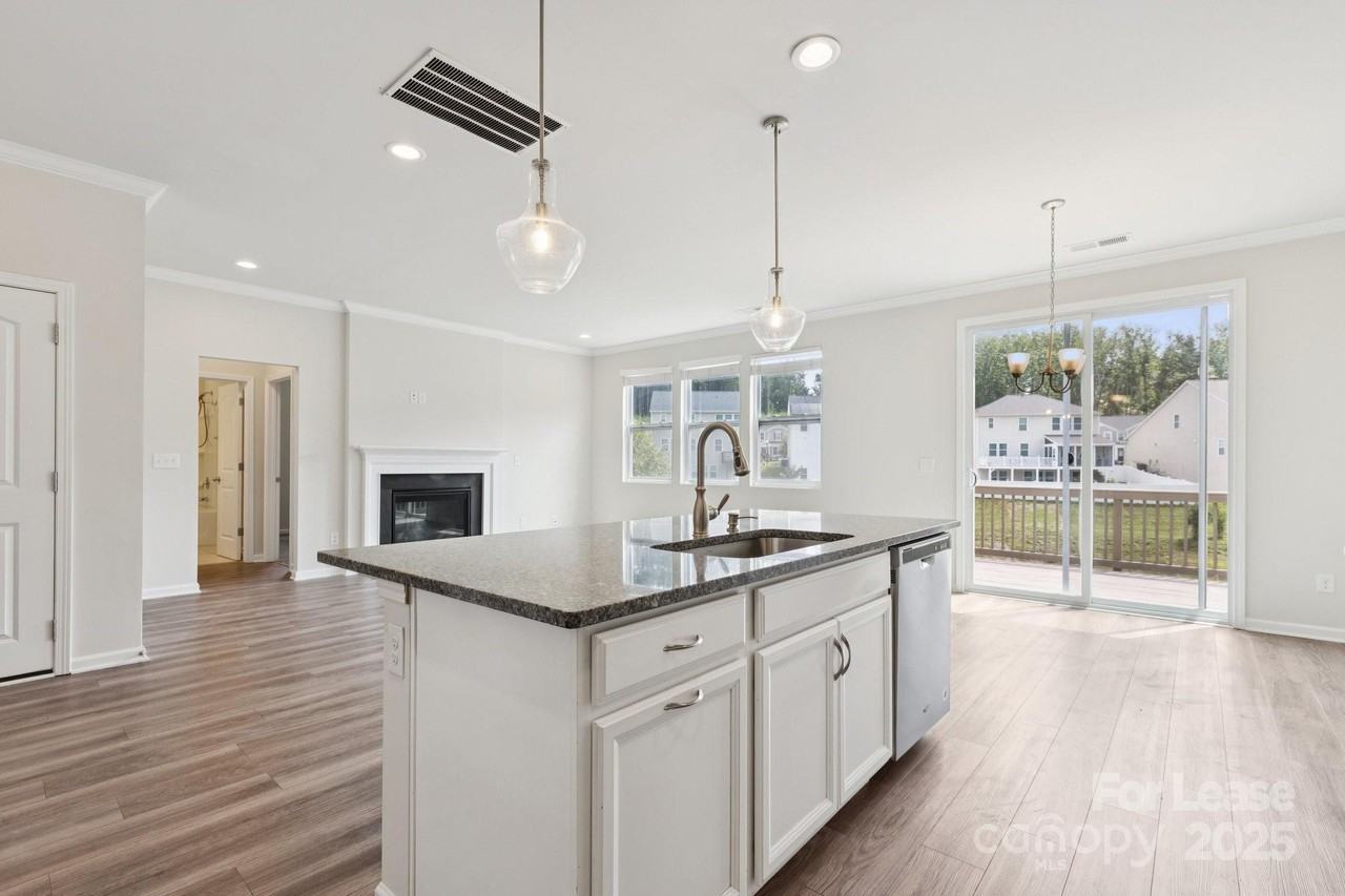 17121 Carolina Pine Row - Photo 5 of 27