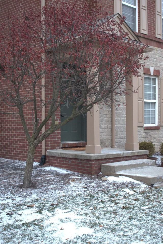 44725 Ellery Ln Unit 78 #78 - Photo 3 of 44