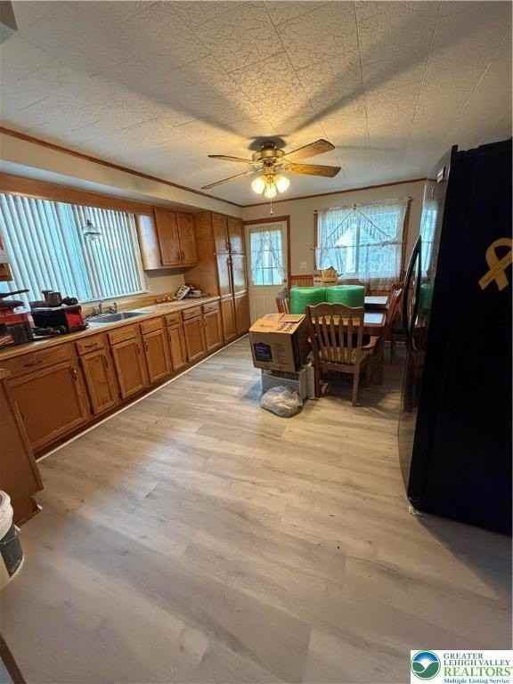 219 Linden St - Photo 6 of 14