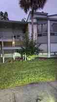 2514 Lemon Tree Ln #I - Photo 1 of 1