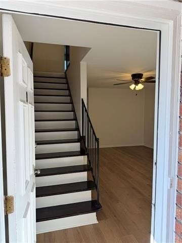 301 Zinnia Ave #B - Photo 3 of 19