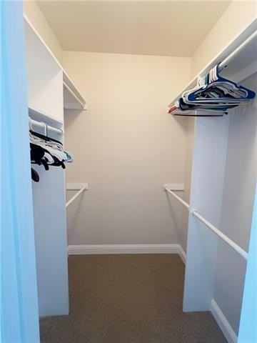 5007 Towering Oaks Ave - Photo 7 of 12