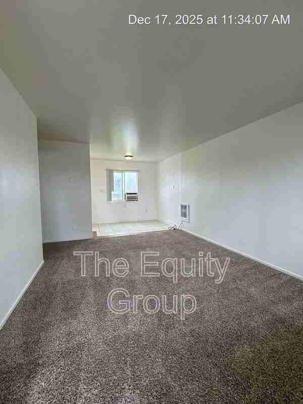 311 E Elm St - Photo 6 of 13