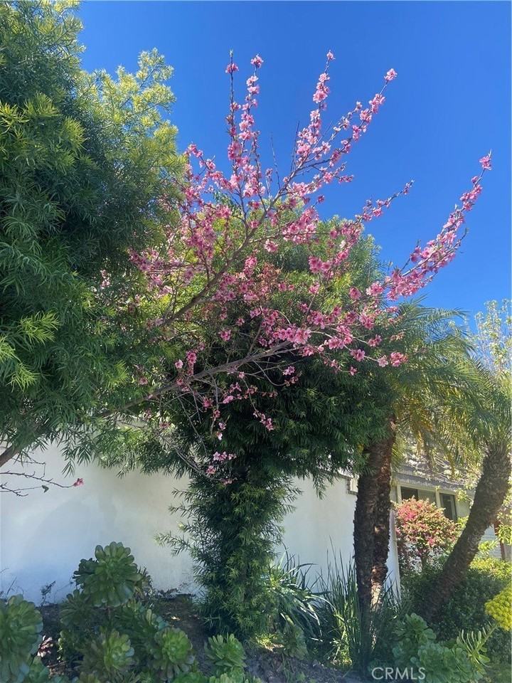 17041 Escalon Dr - Photo 3 of 23