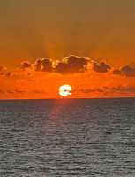 featured image of 1161 Hillsboro Mile #506