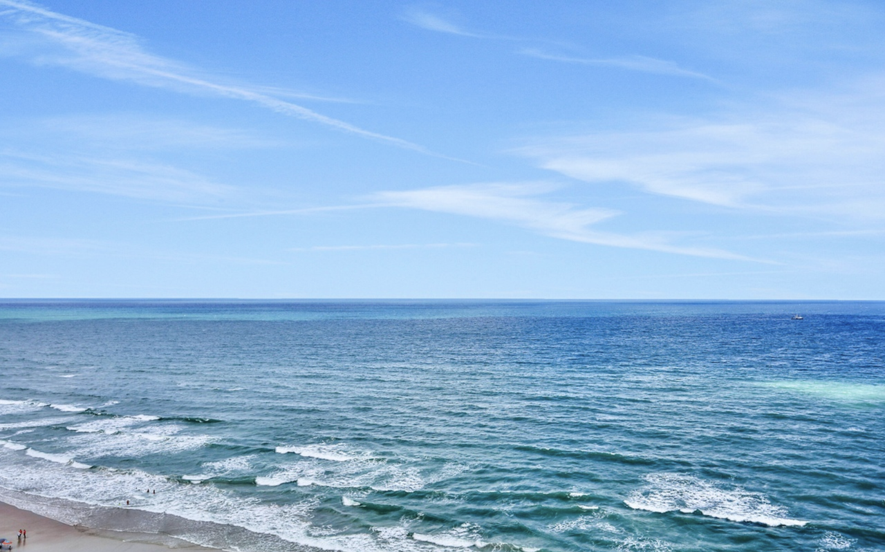 3003 South Atlantic Avenue #17A1 - Photo 6 of 50