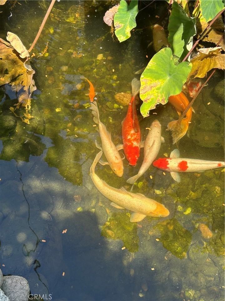 665 N San Antonio Ave #665 - Photo 4 of 16