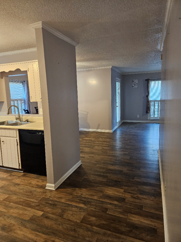 536 Shadow Moss Dr - Photo 2 of 9