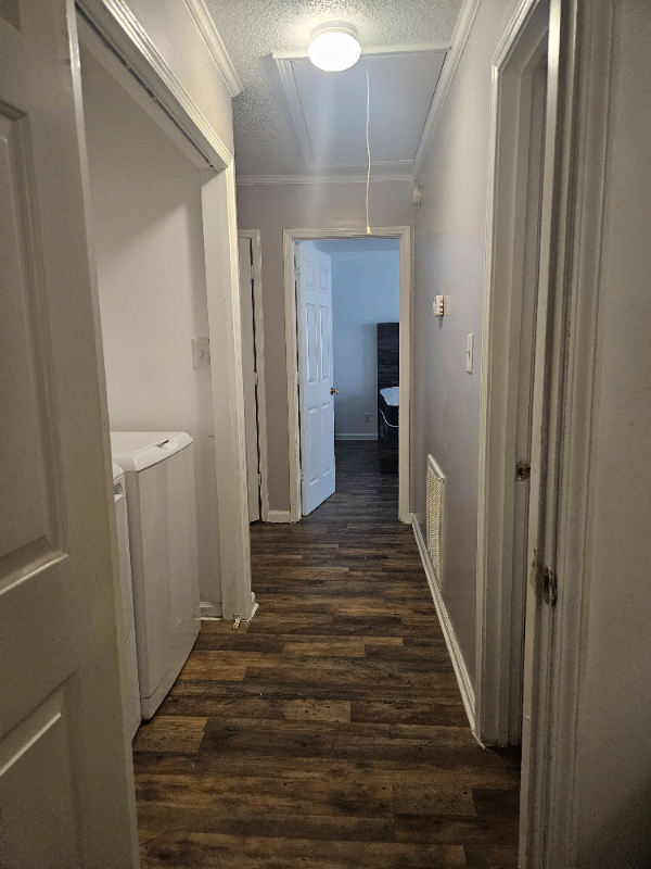 536 Shadow Moss Dr - Photo 5 of 9