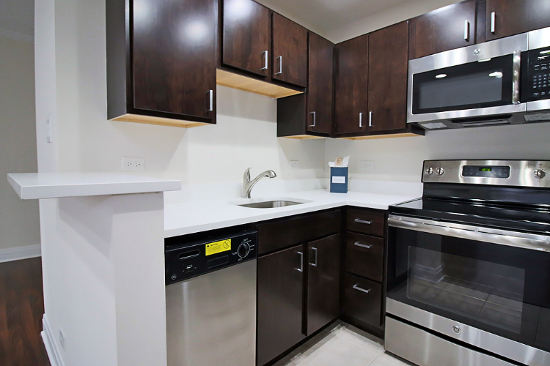 876 N Mies Van Der Rohe Way - Photo 2 of 14