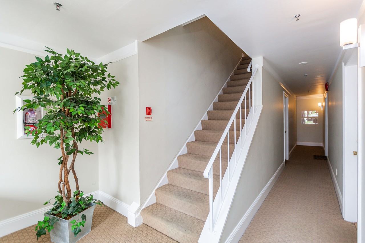 2148 Broderick - Photo 5 of 12