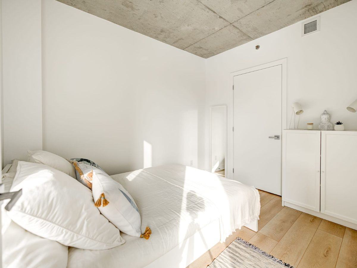 Le Shaughn - Photo 5 of 12