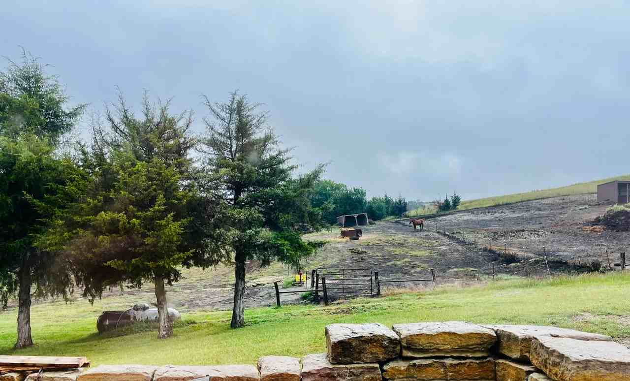 13325 Brush Creek Rd - Photo 4 of 14