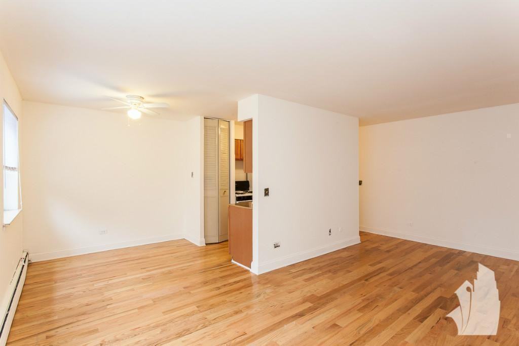 510 W Briar Pl #501 - Photo 4 of 8