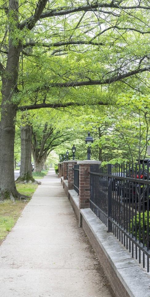 101 S Hanover Ave Apt 5m #5M - Photo 3 of 38