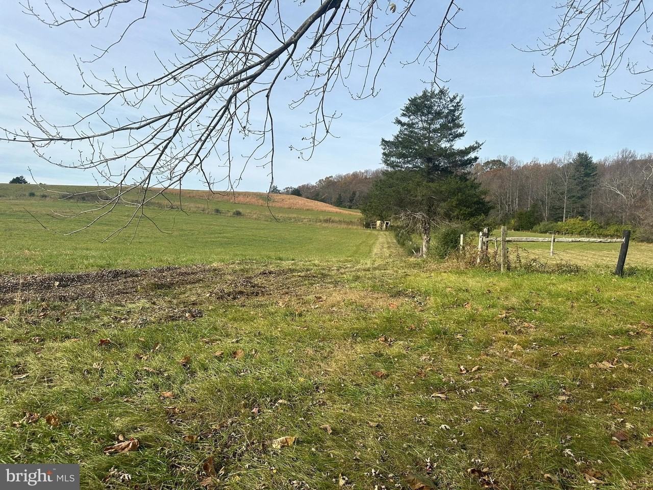 6234 Pilgrims Rest Rd - Photo 7 of 22