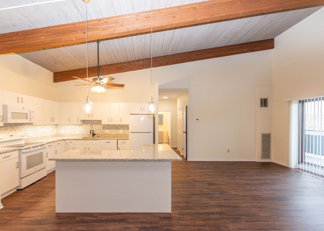 Chestnut Hill South - Photo 4 of 16