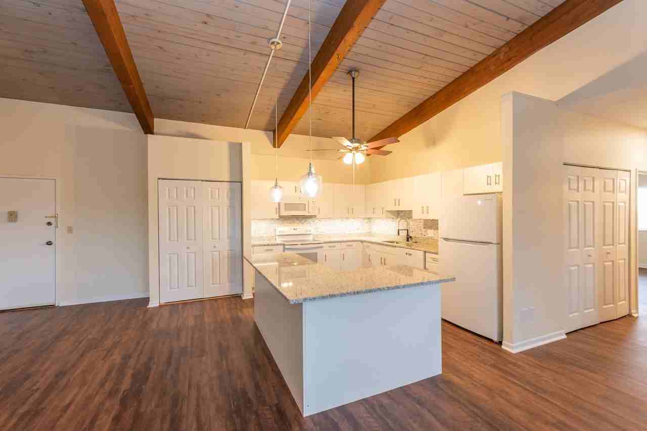 Chestnut Hill South - Photo 6 of 16