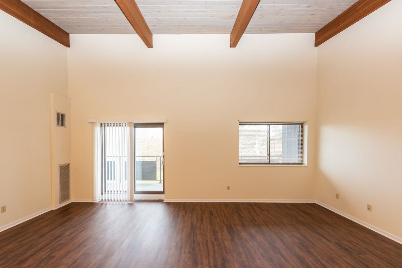 Chestnut Hill South - Photo 7 of 16