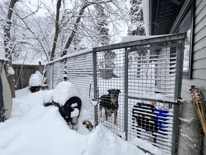 45 Campbell Ave - Garden - Photo 3 of 14