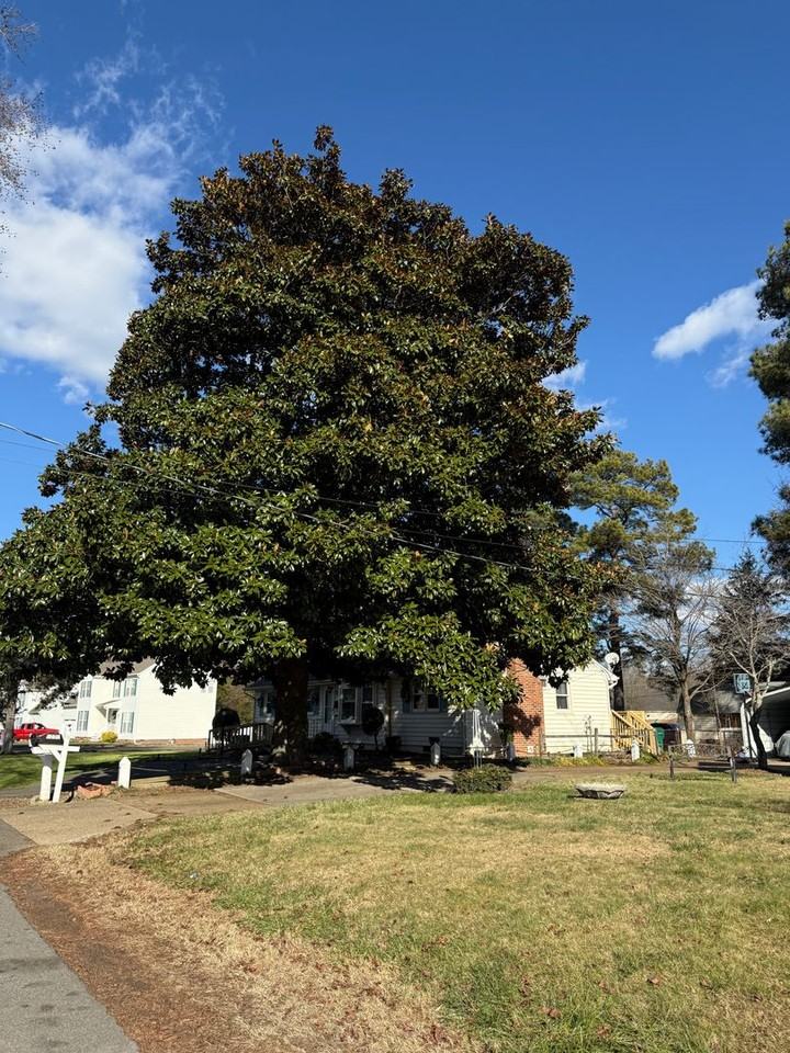 4802 Kinloch Ln - Photo 3 of 7