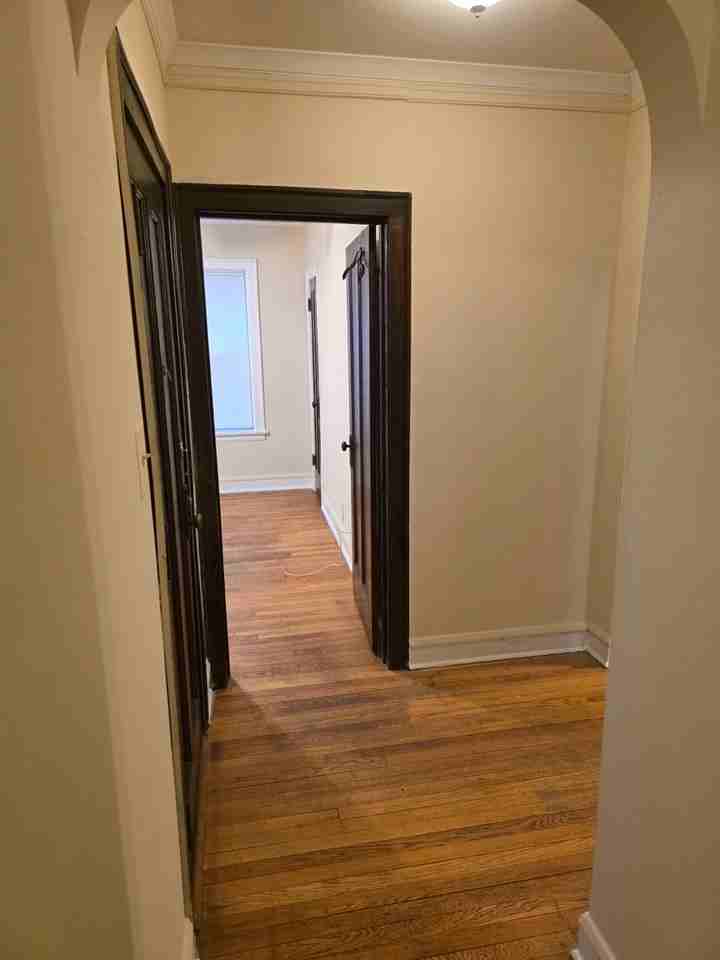 7520 N Hoyne Ave Apt 1k #1K - Photo 5 of 15