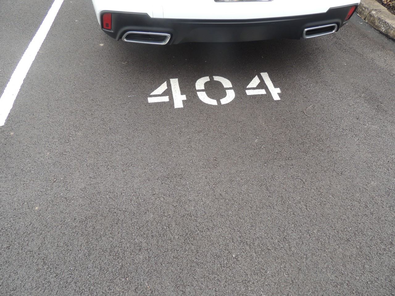 404 Pinebrooke Cir #404 - Photo 2 of 29