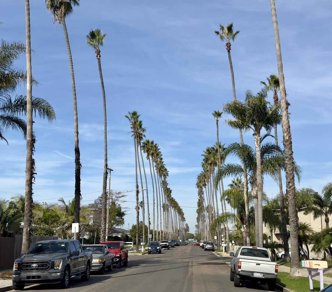 1914 S Tremont St #1 - Photo 2 of 19