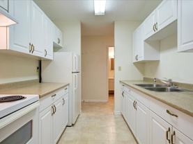 Lombardy Park Apartments - Photo 1 of 1