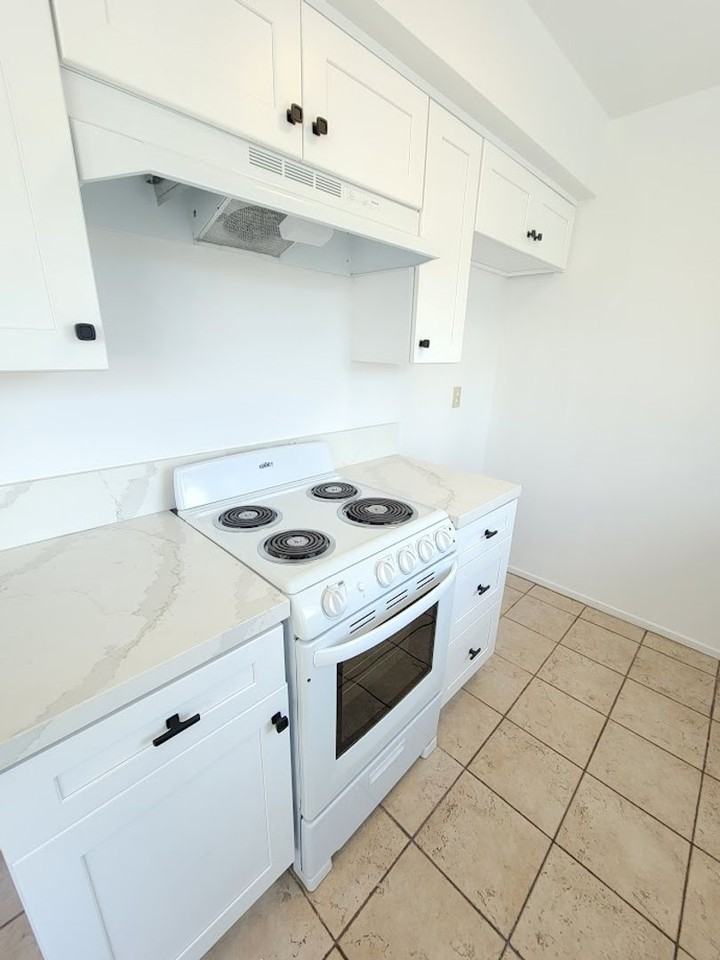 335 Cedar Ave #108 - Photo 5 of 19