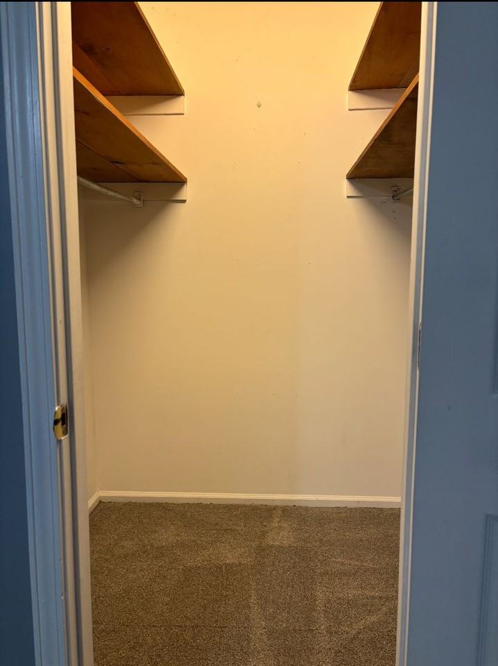 20503 - Photo 3 of 20