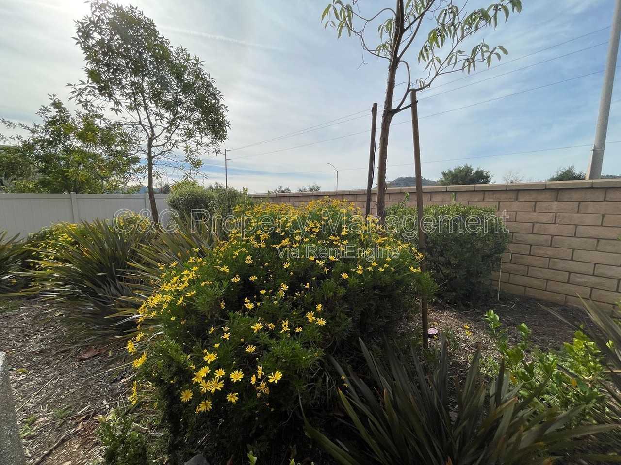 35124 Persano Pl - Photo 5 of 20