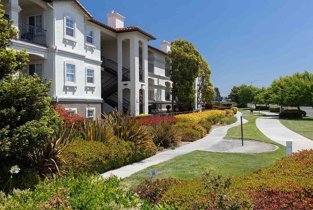 San Marcos - Photo 4 of 38