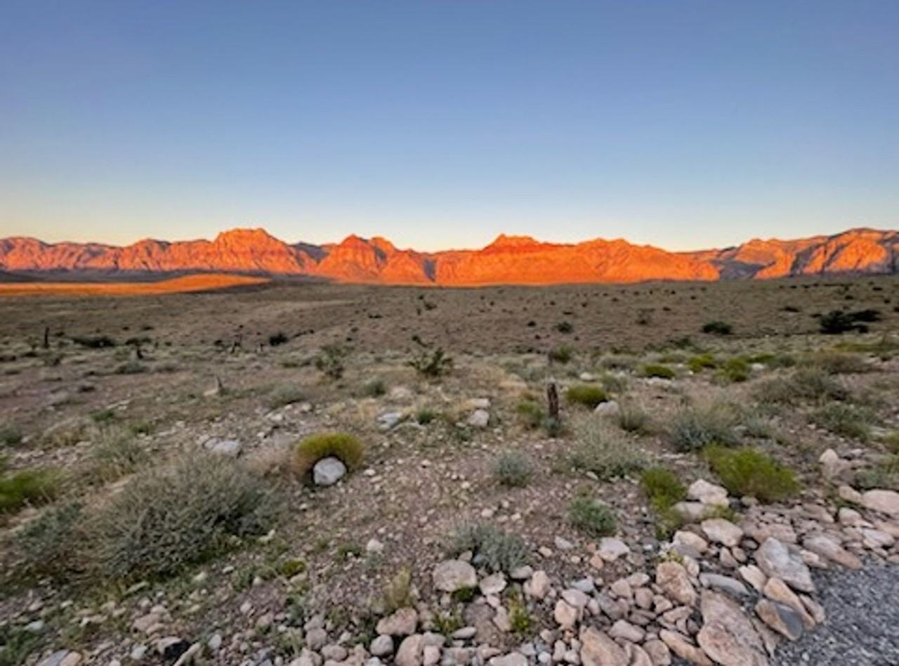 12612 Heritage Heights Dr - Photo 2 of 50