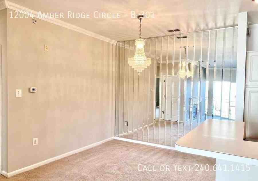 12004 Amber Ridge Cir #B301 - Photo 5 of 15