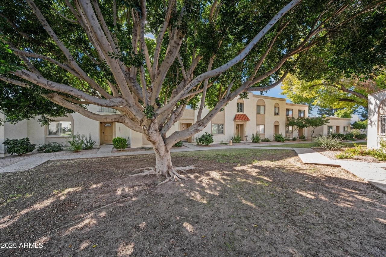 5972 N 83rd St - Photo 4 of 50