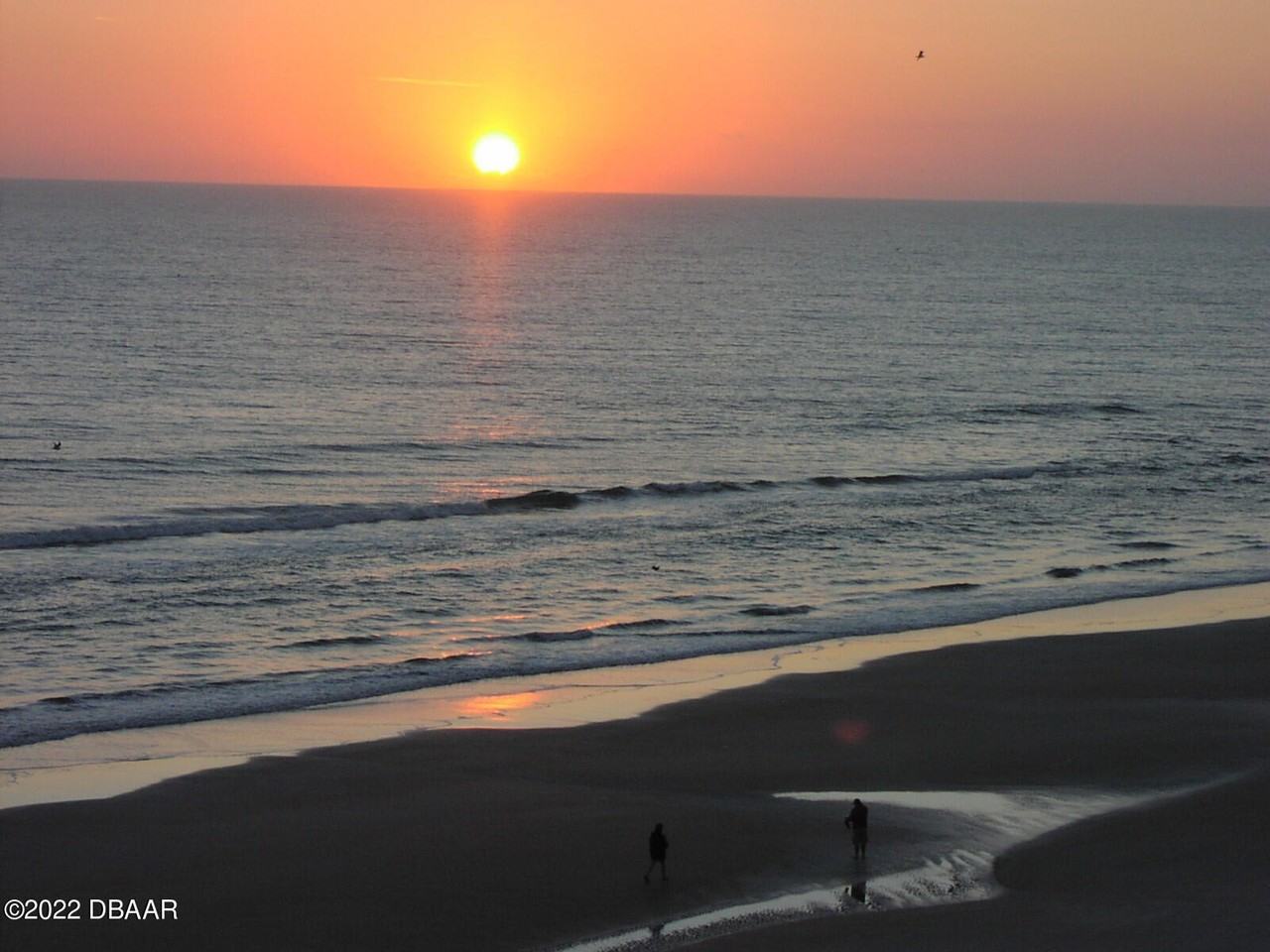 3601 S Atlantic Ave Unit 303 #303 - Photo 6 of 25