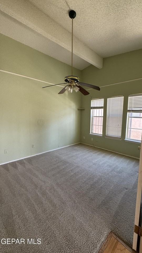 10613 Springwood Dr Apt C #C - Photo 7 of 10