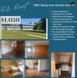 1901 Mary Ann St - Photo 1 of 1